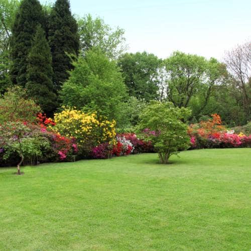 Landscaping